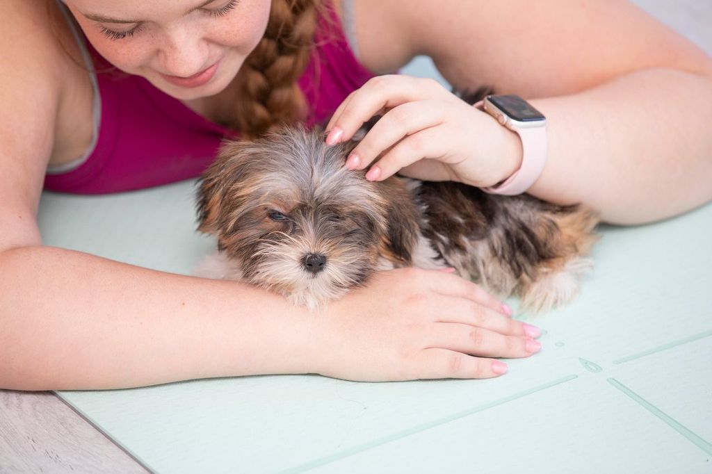 Woman holding golden puppy on yoga mat in pilates studio